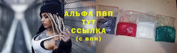 spice Горняк