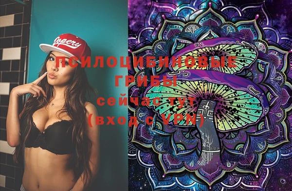 spice Горняк